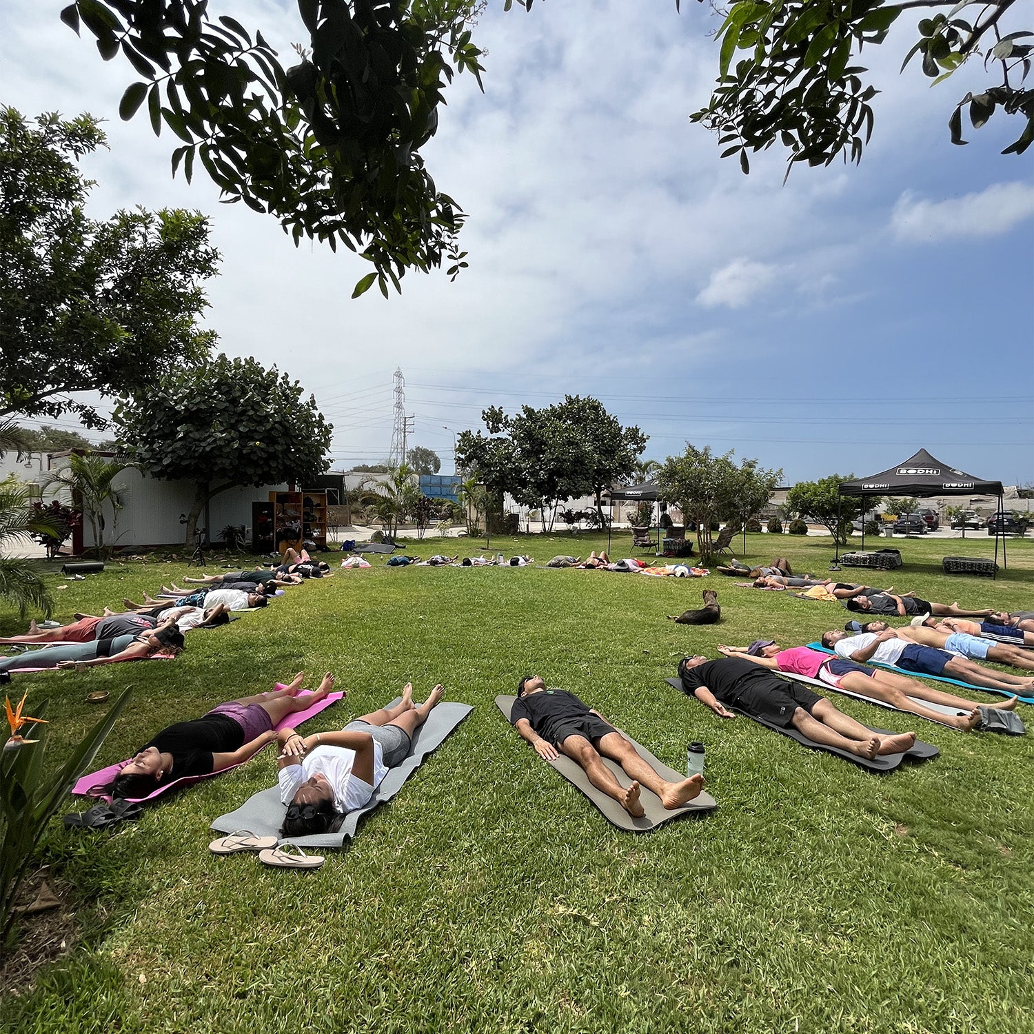 Ofrecemos servicios para empresas o eventos. La respiración consciente es la base de todo y potencia los efectos del frío y el calor. Regula tu sistema nervioso y optimiza tu rendimiento físico y mental.