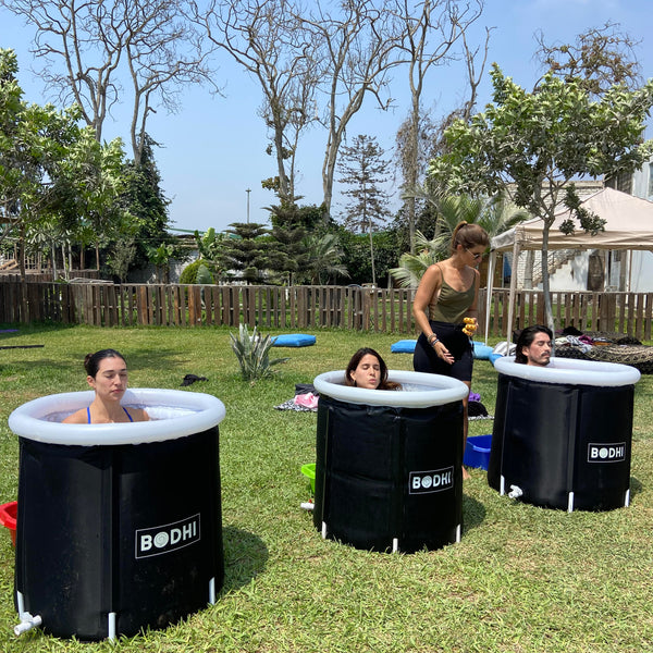 Entrada – BODHI Reset Summer Edition